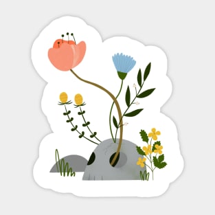 Nature Resilience - Transparent Sticker